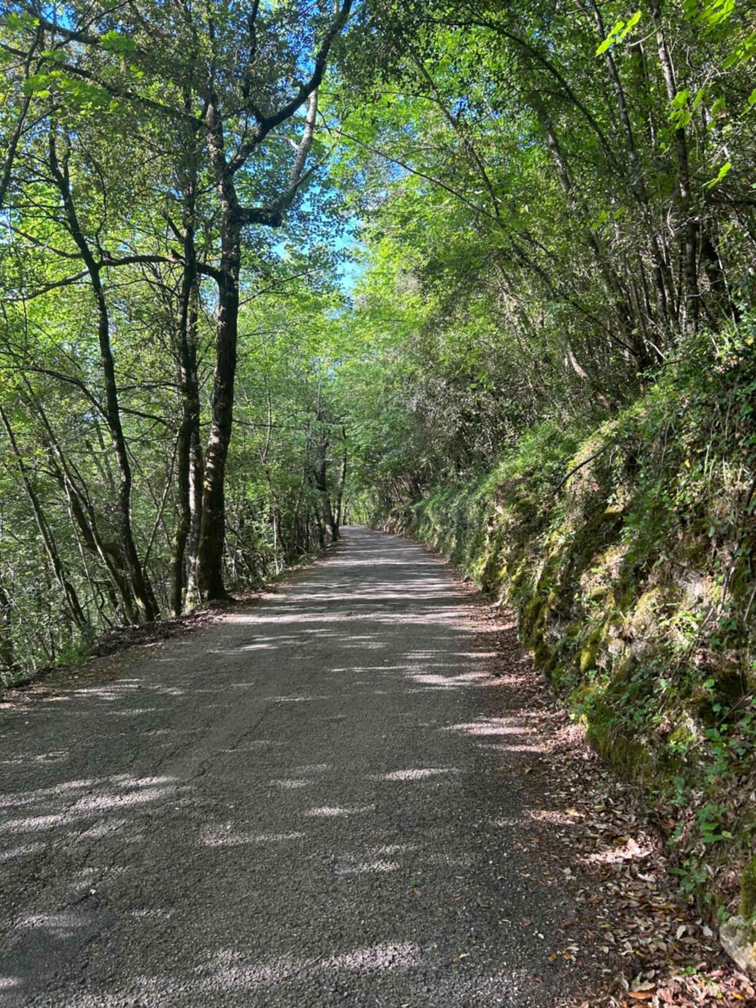 Appartamento Storico A Valle San Martino Di Spoleto Esterno foto